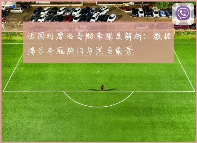 法国对摩洛哥赔率深度解析：数据揭示夺冠热门与黑马前景